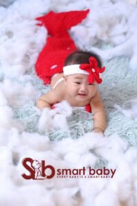 Mermaid Photoshoot Props.