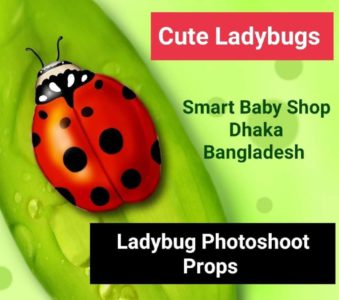 Newborn Baby Crochet Animal Ladybug Photography Props.