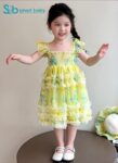 Butterfly Princess Dress 2-3 Years