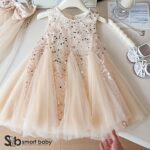 Princess Party Dress 2-3 Years.