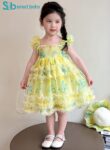 Butterfly Princess Dress 2-3 Years