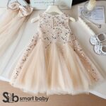 Princess Party Dress 2-3 Years.