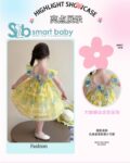 Butterfly Princess Dress 2-3 Years
