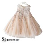 Princess Party Dress 2-3 Years.
