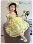 Butterfly Princess Dress 2-3 Years