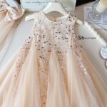 Princess Party Dress 2-3 Years.