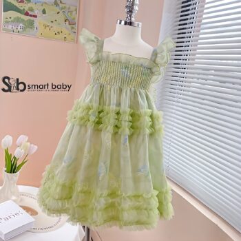Butterfly Princess Dress 2-3 Years