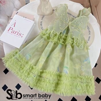Butterfly Princess Dress 2-3 Years